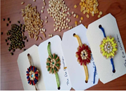 ସବୁଜ ରାଖୀ, ସବୁଜ ପୃଥିବୀ !!