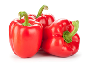 ହାଇଡ୍ରୋପନିକ୍ସ କୌଶଳରେ ଶିମଲା ମିର୍ଚି ଚାଷ କରି ଲାଭବାନ ହୁଅନ୍ତୁ !!