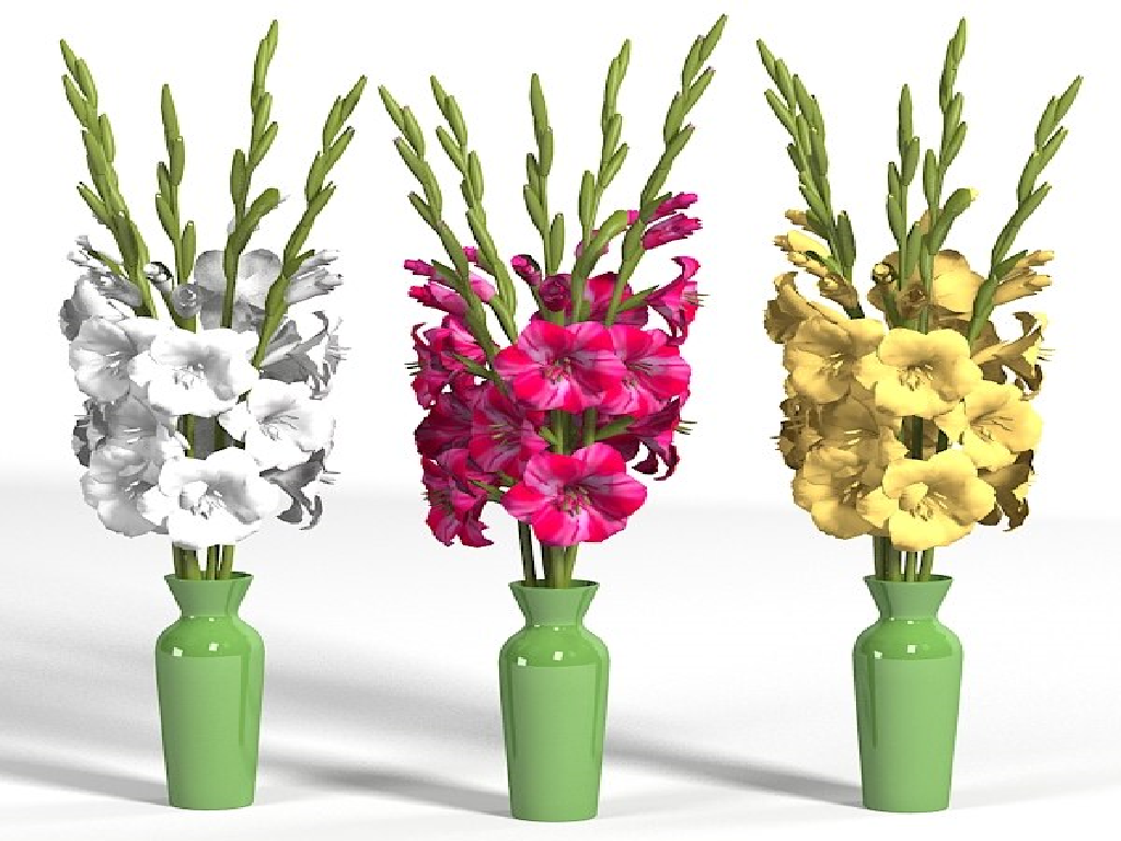 Flowers Flowers