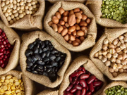 ବିହାର ସରକାରଙ୍କର ବିହନ ସବସିଡି ସ୍କିମ୍