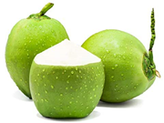 ବ୍ୟବସାୟିକ ଭିତିରେ ନଡ଼ିଆ ଚାଷ କରନ୍ତୁ, ଲାଭବାନ ହୁଅନ୍ତୁ !!