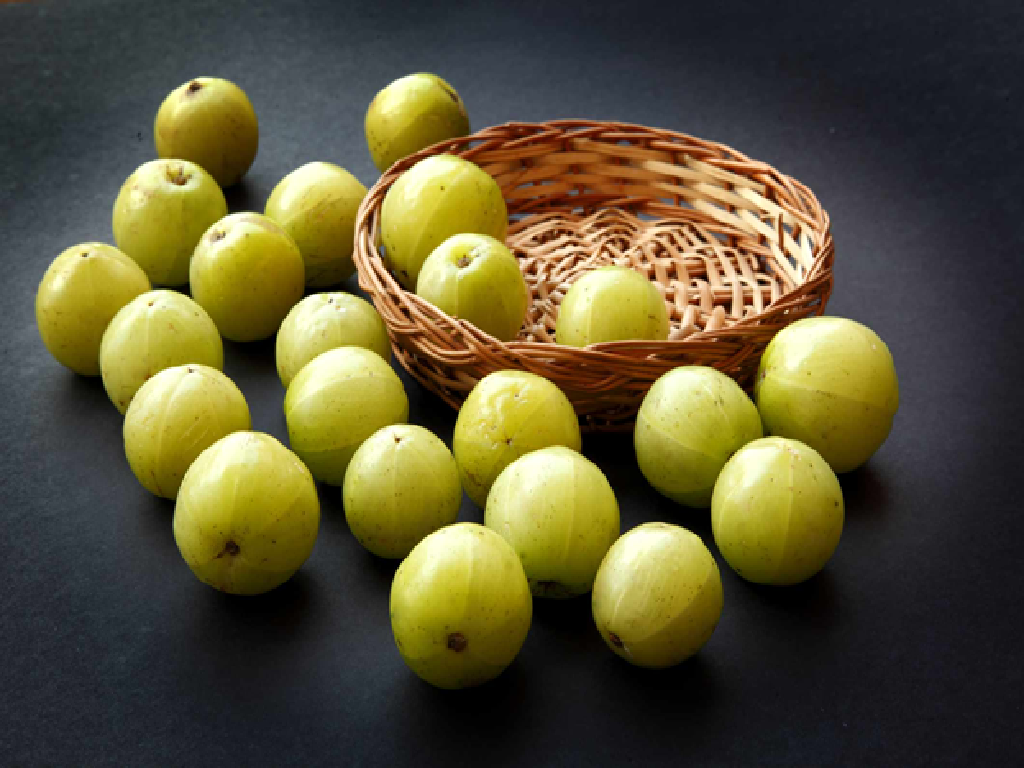 Amla Amla