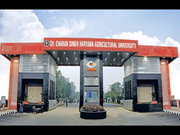 ଚୌଧୁରୀ ଚରଣ ସିଂ କୃଷି ବିଶ୍ୱବିଦ୍ୟାଳୟରେ ଆରମ୍ଭ ହେବ କୃଷି ମେଳା !!