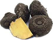 ଓଲୁଅ ଚାଷରେ ଲାଭ ମିଳୁଛି, ଆପଣ ଜାଣନ୍ତୁ !!