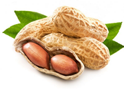 ଲାଭଜନକ ଉପାୟରେ ବାଦାମ ଚାଷ କରନ୍ତୁ, କୃଷକଭାଇମାନେ ଲାଭ ଉଠାନ୍ତୁ !! 