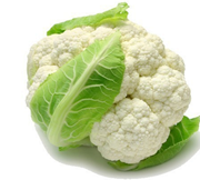 ଫୁଲ କୋବି ଚାଷ କରିବାର ପ୍ରଣାଳୀ, ଆପଣ ଜାଣନ୍ତୁ !! ଫୁଲ କୋବି ଚାଷ କରିବାର ପ୍ରଣାଳୀ, ଆପଣ ଜାଣନ୍ତୁ !!