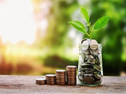 କମ୍ ନିବେଶରେ ଆପଣ କରନ୍ତୁ କୃଷି ବ୍ୟବସାୟ !! କମ୍ ନିବେଶରେ ଆପଣ କରନ୍ତୁ କୃଷି ବ୍ୟବସାୟ !!