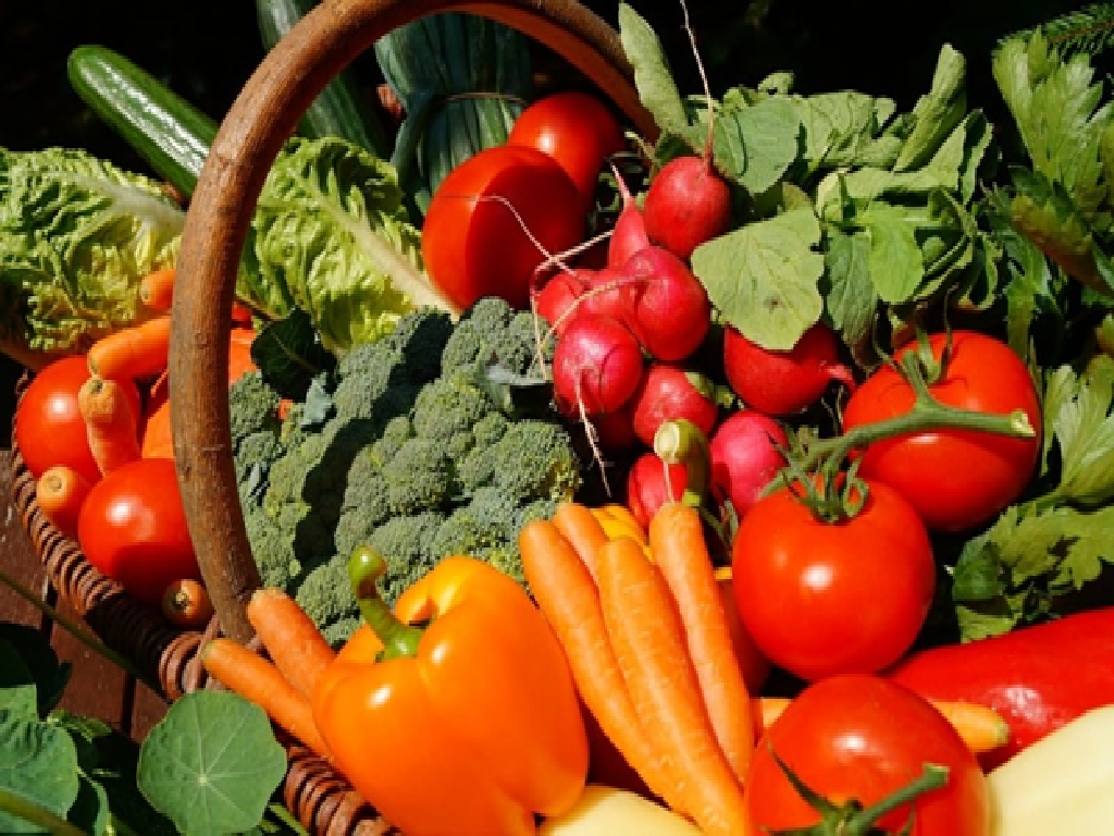 Vegetables Farming Vegetables Farming
