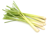 ଲେମନ ଘାସର ବ୍ୟବସାୟ, ଆପଣ ଜାଣନ୍ତି କି ? ?  ଲେମନ ଘାସର ବ୍ୟବସାୟ, ଆପଣ ଜାଣନ୍ତି କି ? ?