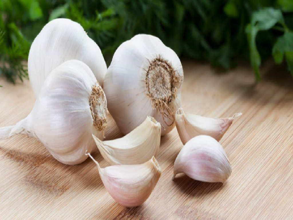 Garlic Garlic