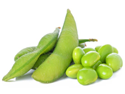 ଗ୍ରୀନ୍ ସୋୟାବିନ, ଆପଣ ଜାଣନ୍ତି କି ? ? ଗ୍ରୀନ୍ ସୋୟାବିନ, ଆପଣ ଜାଣନ୍ତି କି ? ?