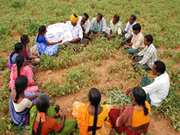 ମହିଳା କିଷାନ୍ ସଶକ୍ତିକରଣ ଯୋଜନା: ମହିଳାମାନେ ହେବେ ଉପକୃତ