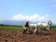 ପ୍ରଧାନମନ୍ତ୍ରୀ କୃଷକ ସମ୍ପଦ ଯୋଜନା