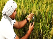 କୃଷି ବ୍ୟବସାୟର ବିକାଶ ନିମନ୍ତେ ପୁଞ୍ଜିନିବେଶ ଯୋଜନା