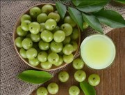 ଅଁଳାର ବହୁ ଔଷଧୀୟ ଗୁଣ 