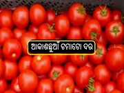 ବଢୁଛି ଟମାଟୋ ଦର, କିଲୋ 140