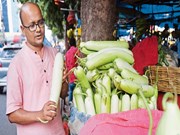 'MBA Sabziwala':ଏମବିଏ ପଢା ସଂପୂର୍ଣ୍ଣ କରି ପରିବା ବିକ୍ରି କରୁଛନ୍ତି କୌଶଳେନ୍ଦ୍ର, ପଢନ୍ତୁ ପୁରା ଖବର... 