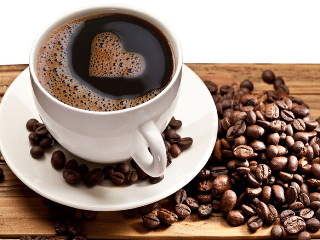 expensive coffee made from elephant dung