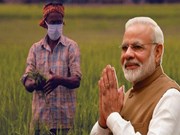  କୃଷକଙ୍କୁ ସମ୍ବୋଧନ କରିବେ ମୋଦୀ
