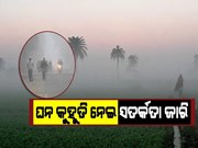 ସାରା ରାଜ୍ୟରେ ଶୀତର ଲହରୀ : ଚାରିଆଡେ ଘନ କୁହୁଡିର ଆସ୍ତରଣ