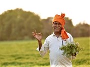 ଚାଷୀଙ୍କ ପାଇଁ ଜରୁରୀ ଖବର; PM Kisanର ହିତାଧିକାରୀମାନେ ଏହି କାର୍ଯ୍ୟର ସମାଧାନ ଶୀଘ୍ର କରିବା ଉଚିତ
