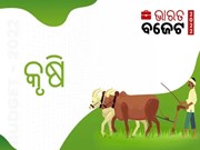  budget 2022 : ଚାଷୀଙ୍କୁ ମିଳିଲା ଉପହାର ; ବଜେଟରେ କୃଷି କ୍ଷେତ୍ର ପାଇଁ ବଡ଼ ଘୋଷଣା,ଜାଣନ୍ତୁ କଣ ରହିଛି...