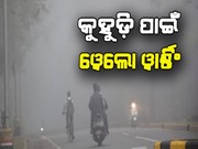 ପୁଣି କୁହୁଡ଼ି ଚାଦରରେ ଢାଙ୍କି ହେବ ଓଡ଼ିଶା ; ଫେବୃଆରି ୯ ରୁ ବର୍ଷା, ୟେଲୋ ୱାର୍ଣ୍ଣିଂ ଜାରି 