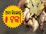 ଅଦା କିଲୋ ୫ ଟଙ୍କା