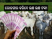 ପ୍ରତି ମାସ ଲକ୍ଷ ଲକ୍ଷ ଟଙ୍କା ରୋଜଗାର କରିବାକୁ ଚାଁହୁଛନ୍ତି କି ? କରନ୍ତୁ ଏହି ବିଜନେସ ; ସରକାର କରିବେ ସାହାଯ୍ୟ