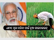 PM Kisan:ଚାଷୀଙ୍କ ପାଇଁ ଖୁସିଖବର ; e-KYC ପୂରା କରିବା ପାଇଁ ନୂଆ ଗାଇଡଲାଇନ୍,ଜାଣନ୍ତୁ...