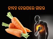 ସାବଧାନ! ଗାଜର ନେଇ ଯାଇପାରେ ଜୀବନ