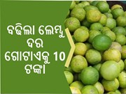 ଗ୍ରୀଷ୍ମ ଋତୁରେ ମହଙ୍ଗା ହେଲା ଲେମ୍ବୁ, ଗୋଟାଏ କୁ 10 ଟଙ୍କା