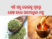 ବଡ ବଡ ରୋଗରୁ ମୁକ୍ତି ଦିଏ ପାନମଧୁରୀ-ମହୁ