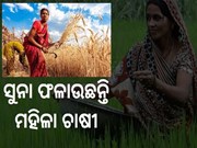 କୃଷି କ୍ଷେତ୍ରରେ ମହିଳାଙ୍କ କମାଲ 