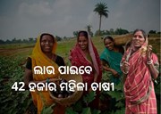 କୃଷି ଉତ୍ପାଦନ କ୍ଲଷ୍ଟର ଅଧିନରେ ଆଉ 14 ବ୍ଲକ, ମହିଳା ଚାଷୀଙ୍କୁ ମିଳିବ ବଡ ସୁଯୋଗ