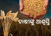 ମୋଦି ସରକାର ଦେଲେ ଆଶ୍ବସ୍ତି, ଖରାପ ଗହମକୁ MSP ଦରରେ ବିକ୍ରି କରିପାରିବେ ଚାଷୀ 
