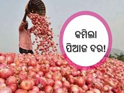 କମିଲା ପିଆଜ ଦର; କିଲୋ 2 ରୁ 3 ଟଙ୍କା!