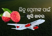 ବିମାନରେ ଯାତ୍ରା କରୁଛି ଲିଚୁ
