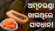 ଅମୃତଭଣ୍ଡା ଖାଉଛନ୍ତି କି ?ଜାଣିରଖନ୍ତୁ ଏହି ସବୁ କଥା