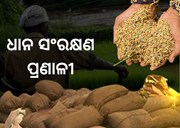 କିଭଳି କରିବେ ଧାନ ସଂରକ୍ଷଣ, ଜାଣନ୍ତୁ...