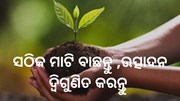 ଚାଷ ପାଇଁ ଗୁରୁତ୍ୱପୁର୍ଣ ମୃତ୍ତିକା ଚୟନ, ଜାଣନ୍ତୁ କେଉଁ ଉପାୟ କରିବେ ଅବଲମ୍ବନ 