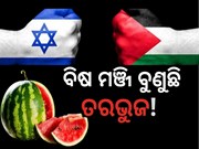 କାହିଁକି ପାଲେଷ୍ଟାଇନର 58 ଟନ ତରଭୁଜ ନଷ୍ଟ କଲା ଇସ୍ରାଏଲ ? ଜାଣନ୍ତୁ...