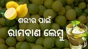 ଅନେକ ସ୍ୱାସ୍ଥ୍ୟ ସମସ୍ୟାର ସମାଧାନ ଲେମ୍ବୁ 