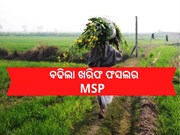 ମୌସୁମୀ ଆରମ୍ଭରୁ ଚାଷୀଙ୍କୁ କେନ୍ଦ୍ରର ବଡ ଉପହାର, ବଢିଲା MSP