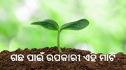 ଜାଣି ରଖନ୍ତୁ ମାଟି ପାଇଁ କେଉଁ ଜୀବ ଉପକାରୀ