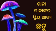ଜାଣନ୍ତୁ ଛତୁ ସହ କଣ ରହିଛି ରାଜକୀୟ ସମ୍ପର୍କ 