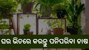 ଘର ଭିତରେ କରି ପାରିବେ ଏହି ପରିବା ଚାଷ 
