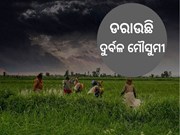 ଖରିଫ ଫସଲ ଉପରେ ପଡିବ ମୌସୁମୀ ମାଡ!