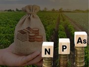 NPAs: କୃଷି ଋୁଣ 15% ବୃଦ୍ଧି