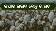 କପା ଉତ୍ପାଦନରେ ପ୍ରଥମ ଭାରତ 